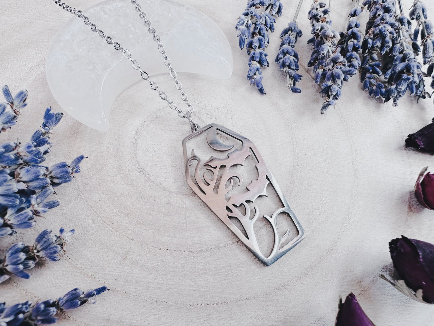 Stainless Steel Bat & Moon Coffin Necklace