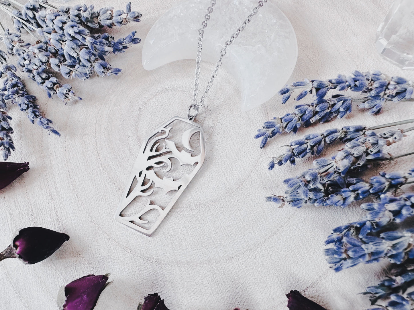 Stainless Steel Bat & Moon Coffin Necklace