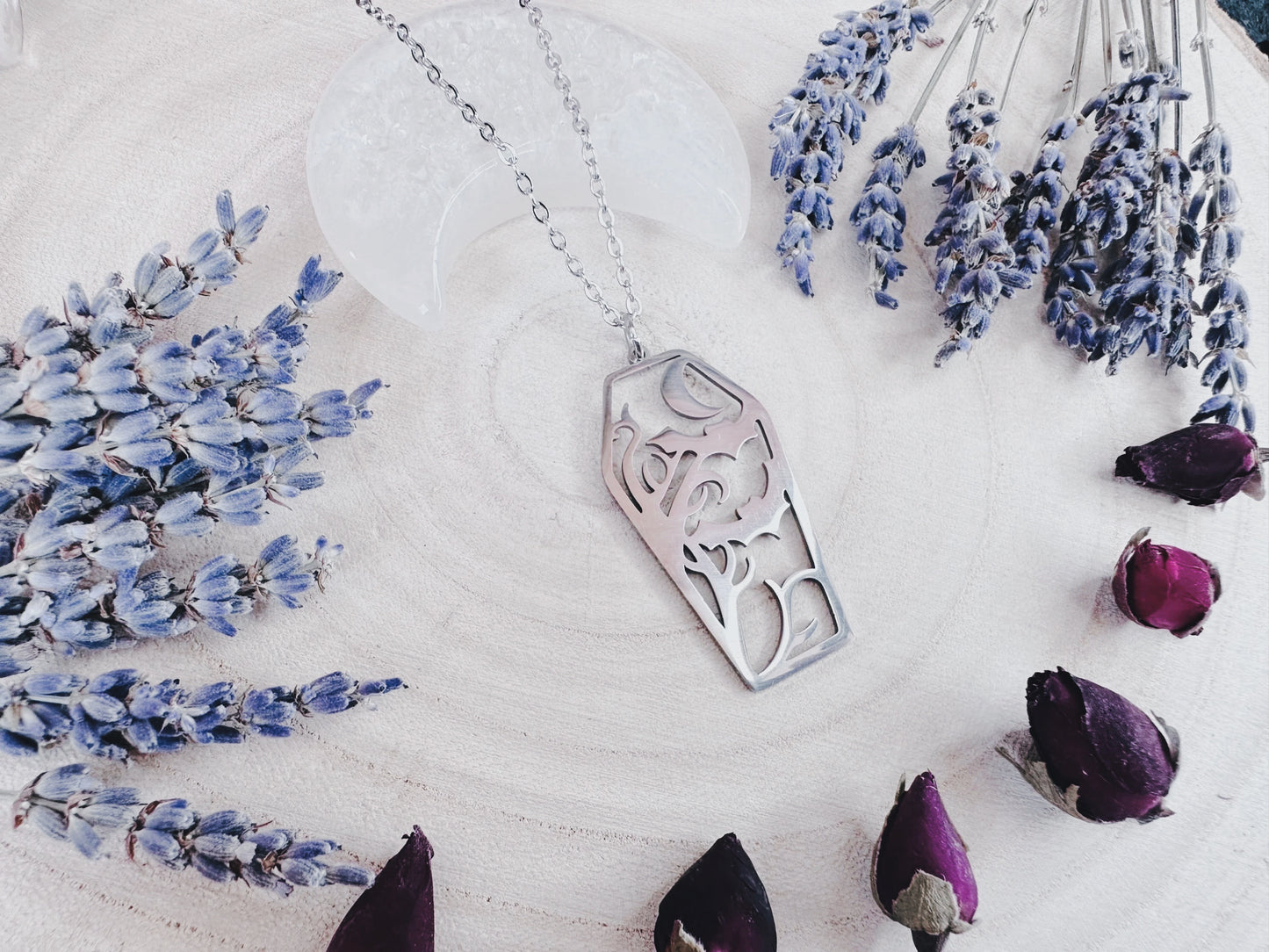 Stainless Steel Bat & Moon Coffin Necklace