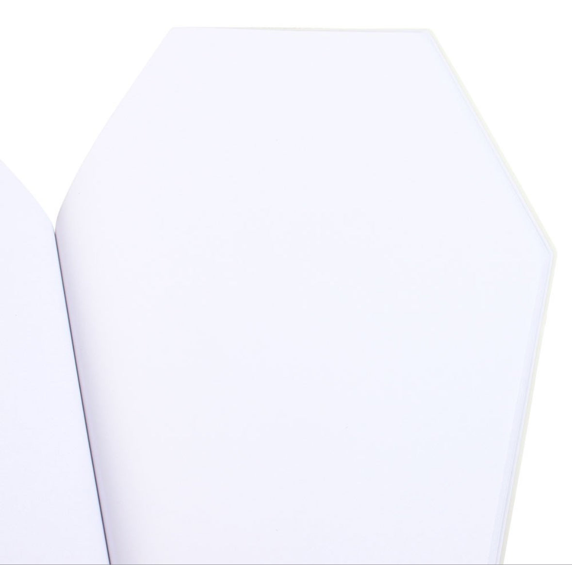 Think Outside The Box Coffin Shaped Notebook